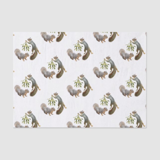 Seda Esquilo com Papel de Tecido Misturado (Frente )