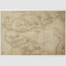 Estudo de um Papel de Decoupage de Cavalo