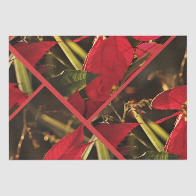 Seda Feriado de Natal para Poinsettia de Papel Tecido (Frente )