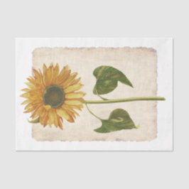 Seda Flor 34 Papel Tecido de Decoupage de Girassol Amar