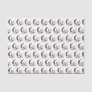 Seda Flor e Papel de Tecido Lua