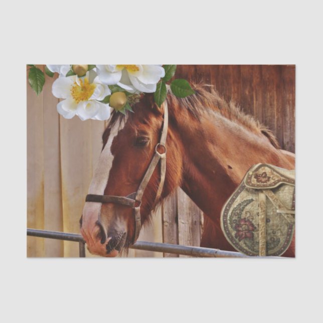 Seda Floral de Cavalo de Papel Tecido (Frente )