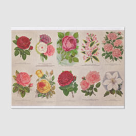Seda Flores de Vintage para papel de Decoupage ou Colag