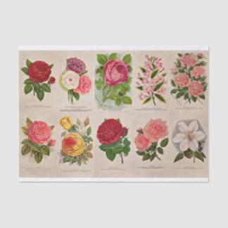 Seda Flores de Vintage para papel de Decoupage ou Colag