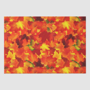 Seda Folha de papel tecidular