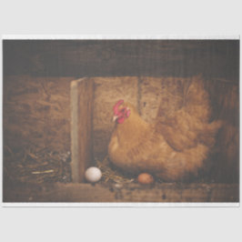 Seda Galinha Galinha Fazenda Papel Tecido de Decodifica