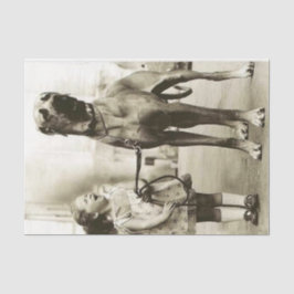 Seda Garota Vintage com Papel de Tecido de Cachorro Dan