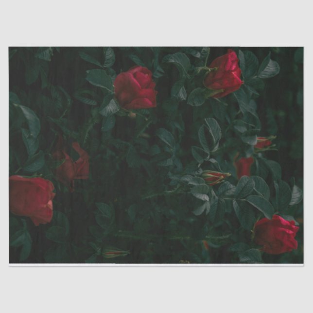 Seda Giftwraping de Decoupage de Papel Tecido do Rosa v (Frente )