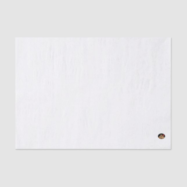 Seda HAMbyWG - Papel tecidular de 10 lb, azul claro (Frente )