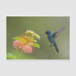 Seda Hummingbird Com Papel De Tecido Para Flores