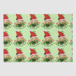 Seda Lab Puppy Papel Tecido de Natal