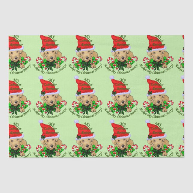 Seda Lab Puppy Papel Tecido de Natal (Frente )