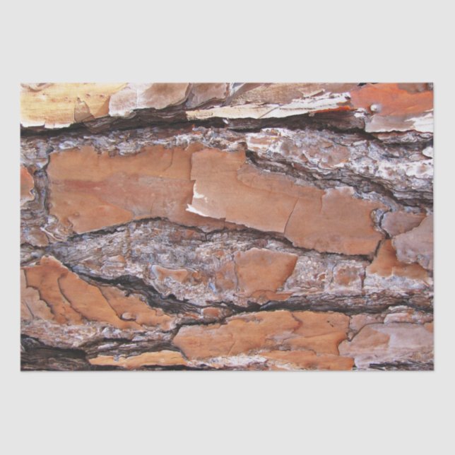 Seda Latido De Papel Tecido (Frente )