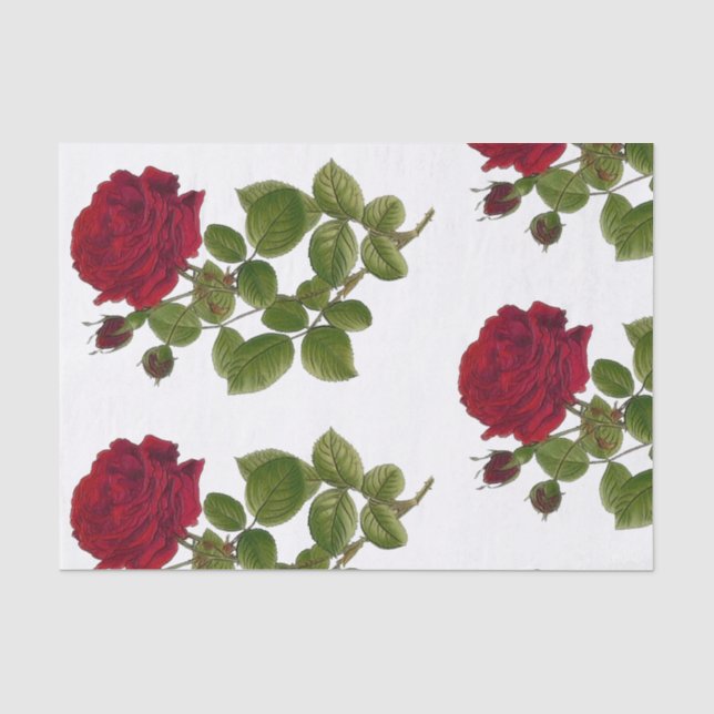 Seda Lenço de papel 10" do jardim de rosas vermelhas (Frente )