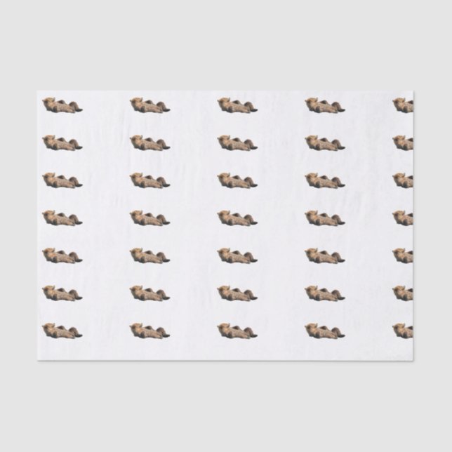 Seda Lenço de papel 10lb feito sob encomenda, branco (Frente )