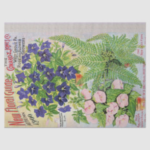 Seda Lenço de papel antigo 17x23 do catálogo da flor