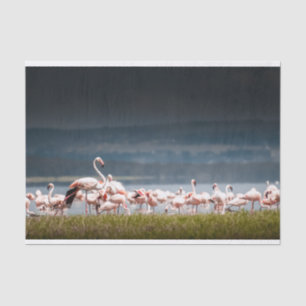 Seda Lenço de papel com imagem dos flamingos