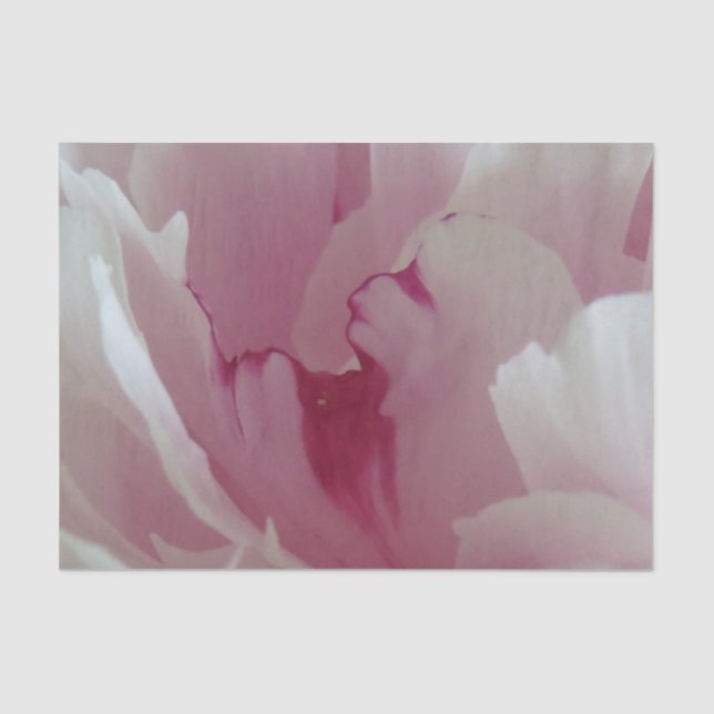 Seda Lenço de papel cor-de-rosa da flor (Frente )