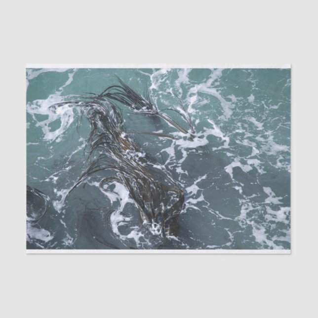 Seda Lenço de papel da alga (Frente )