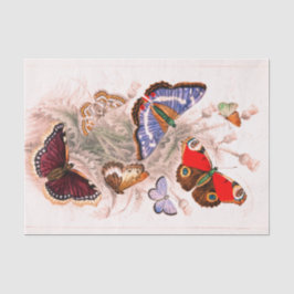 Seda Lenço de papel da borboleta