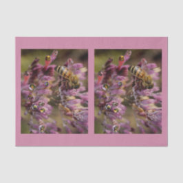 Seda Lenço de papel das abelhas da bolha