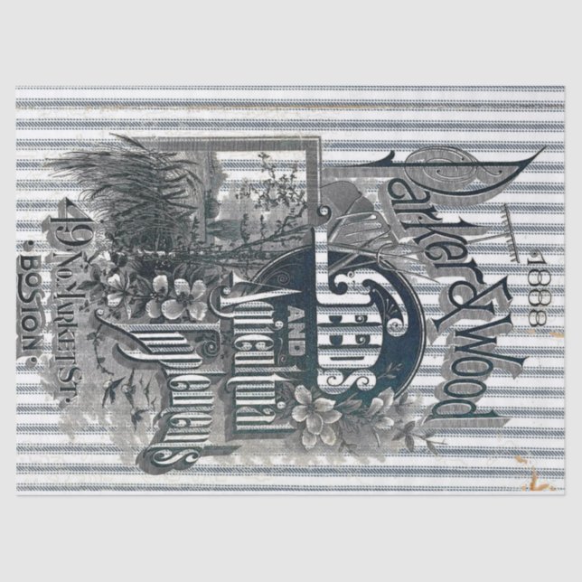 Seda Lenço de papel de tiquetaque do saco da semente (Frente )