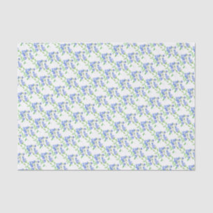 Seda Lenço de papel do branco do verde azul do
