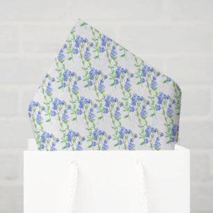 Seda Lenço de papel do branco do verde azul do