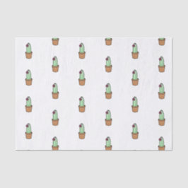 Seda Lenço de papel do cacto