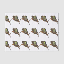 Seda lenço de papel do caracol