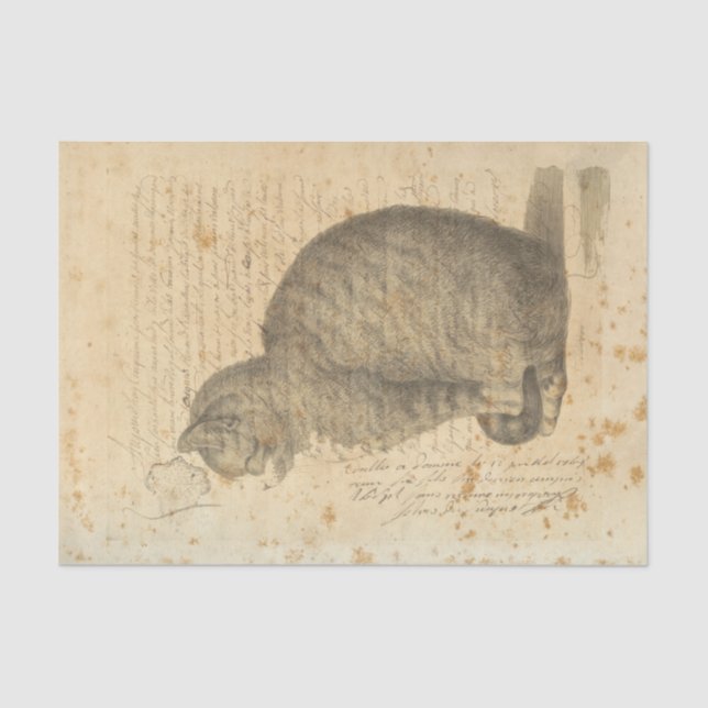 Seda Lenço de papel do gato do vintage (Frente )