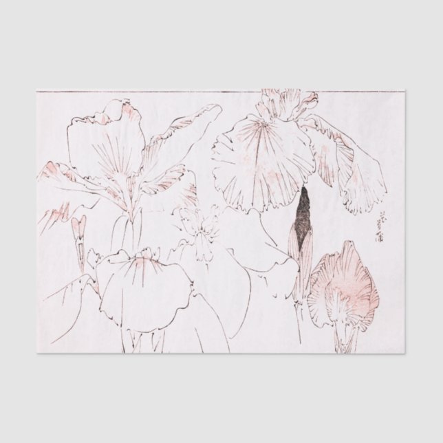 Seda Lenço de papel do IMPRESSÃO da ÍRIS JAPONESA (Frente )