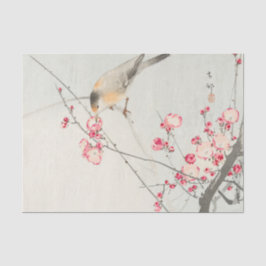 Seda Lenço de papel do pássaro