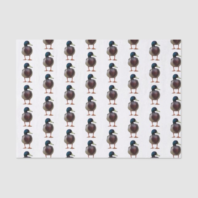 Seda Lenço de papel do pato do pato selvagem (Frente )