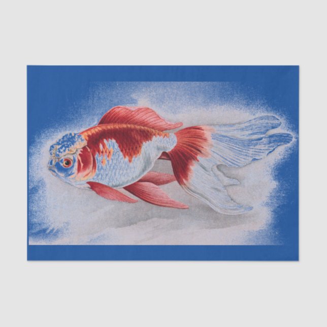 SEDA LENÇO DE PAPEL DO PEIXE DOURADO DO IMPRESSÃO DO (Frente )