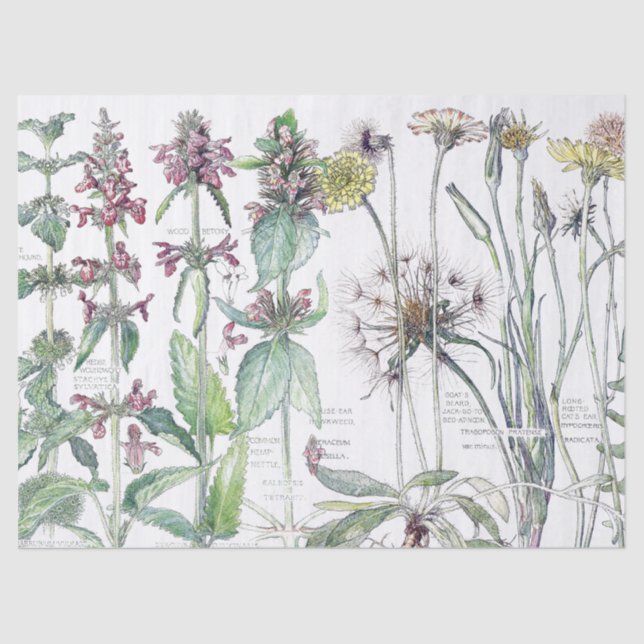 Seda Lenço de papel dos Wildflowers da flor da orelha (Frente )