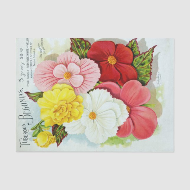 Seda Lenço de papel floral das begónias tuberosas do (Frente )