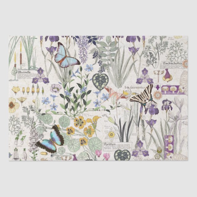 Seda Lenço de papel francês das flores de borboleta de (Frente )