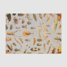 Lenço de papel MUITO LEGAL do INSETO