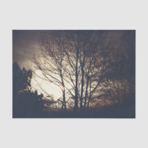 Seda Lenço de papel nevoento da noite da queda