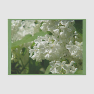 Seda Lenço de papel para você presente especial