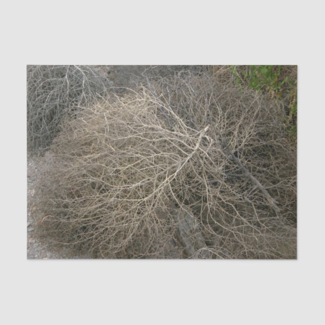 Seda Lenço de papel rústico do amaranto (Frente )