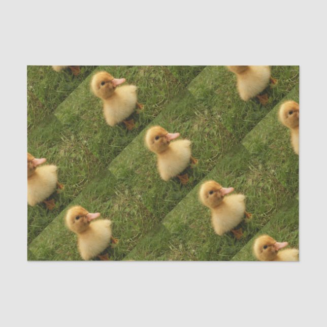 Seda lindas crianças de animais em papel delicado (Frente )