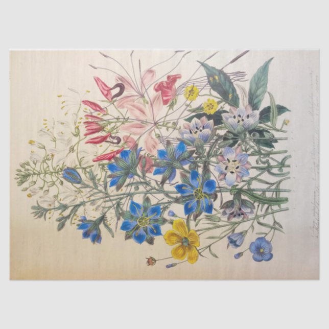 Seda Linho e Papel de Tecido Botânico Limpo (Frente )