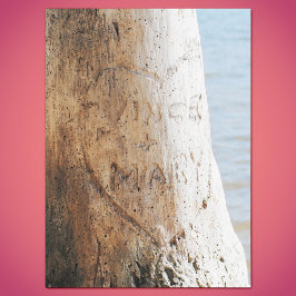 Seda Nosso amor gravado em um papel de árvore