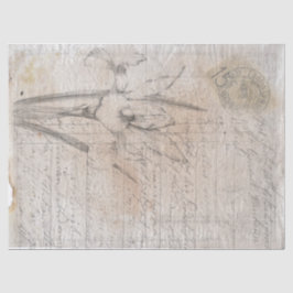 Seda O antigo esboço botânico escrevendo papel de desvi