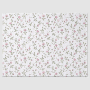 Seda O rosa do rosa brota o lenço de papel gasto do