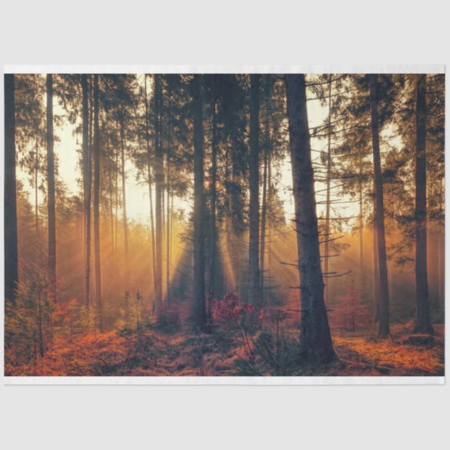 Seda Paisagem Florestal 18 Papel Tecido de Decoupage (Frente )