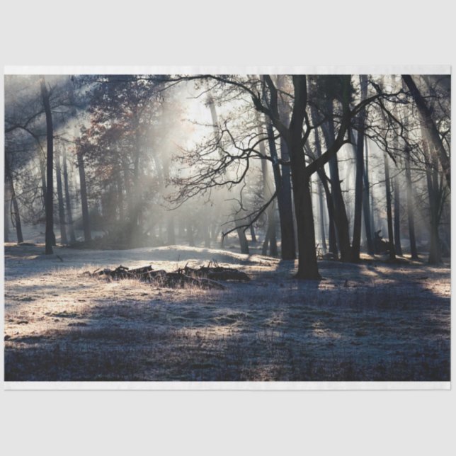 Seda Paisagem Florestal 23 Papel Tecido de Decoupage (Frente )