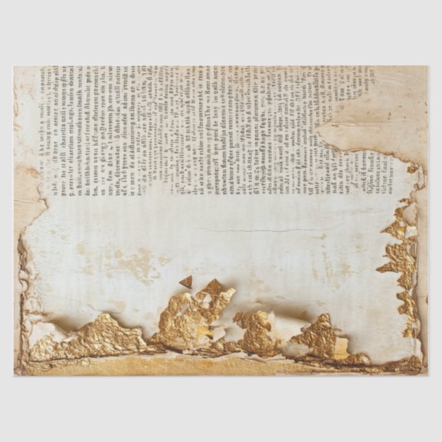 Seda Papel antigo com bordas rasgadas parede rachada de (Frente )